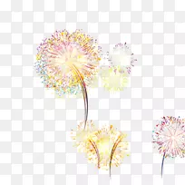 Adobe烟花-烟花-空若网 Adobe烟花-烟花-空若网