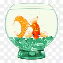 ���㶯����������-��-������