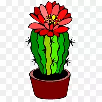 木桶仙人掌花夹艺术-空若网 木桶仙人掌花夹艺术-空若网