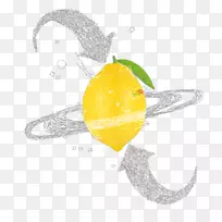 柠檬广告创意免费-创意广告柠檬-空若网 柠檬广告创意免费-创意广告柠檬-空若网