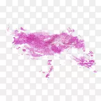 Ë®²Ê»Ë®Ä«»-¿ÕÈôÍø Ë®²Ê»Ë®Ä«»-¿ÕÈôÍø