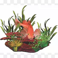 动画剪贴画-动画-空若网 动画剪贴画-动画-空若网