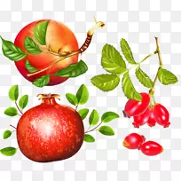 ƻ��ҩ��ʯ��-ƻ��ʯ��-������