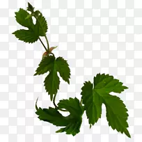 边花动画剪贴画-动画-空若网 边花动画剪贴画-动画-空若网