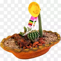 仙人掌科盆景剪贴画-空若网 仙人掌科盆景剪贴画-空若网