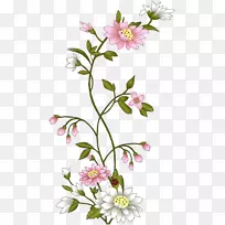 花花-空若网 花花-空若网