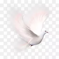 ����΢��ͼƬ�༭��-����-������