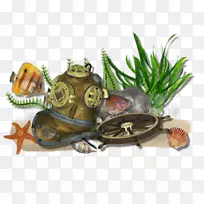 海底剪贴画-海-空若网 海底剪贴画-海-空若网