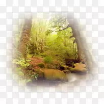 动画博客-动画-空若网 动画博客-动画-空若网