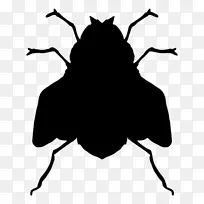 苍蝇剪影昆虫剪贴画-苍蝇-空若网 苍蝇剪影昆虫剪贴画-苍蝇-空若网
