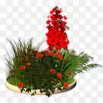 插花艺术-空若网 插花艺术-空若网