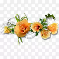 蓝色摄影马腾动画-空若网 蓝色摄影马腾动画-空若网