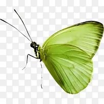 �������������-����-������