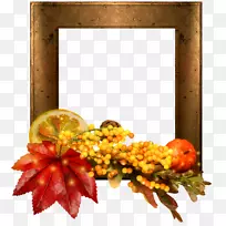 秋天枫叶博客-秋天-空若网 秋天枫叶博客-秋天-空若网