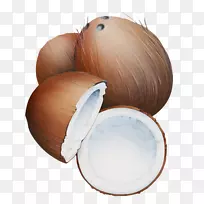 椰奶卡通-椰子-空若网 椰奶卡通-椰子-空若网