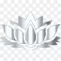 Nelumbo nucifera�������ֽ������-��-������