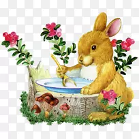 动画博客-动画-空若网 动画博客-动画-空若网