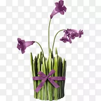 花紫郁金香剪贴画-花-空若网 花紫郁金香剪贴画-花-空若网