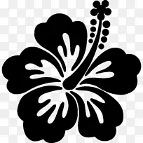 ǽ�����ո���ֽ������ܽ��-������