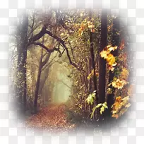 ��Ȼ��Ӱ�羰��Ӱ-��Ӱʦ-������