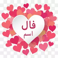 ��ֽ������-������