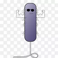 e。Coli动画-动画-空若网 e。Coli动画-动画-空若网