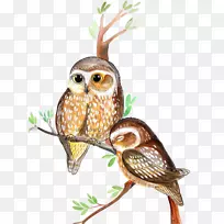 èͷӥˮ²Ê»Ë®²Êèͷӥ-¿ÕÈôÍø èͷӥˮ²Ê»Ë®²Êèͷӥ-¿ÕÈôÍø