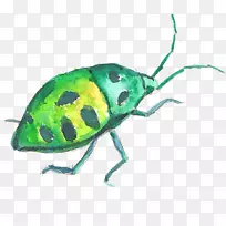 ´óÖڼ׳æË®²Ê»-ÅÀÐÐÂÌÉ«À¥³æ-¿ÕÈôÍø ´óÖڼ׳æË®²Ê»-ÅÀÐÐÂÌÉ«À¥³æ-¿ÕÈôÍø