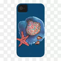 海洋无脊椎动物-空若网 海洋无脊椎动物-空若网