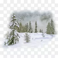 ������������-����-������