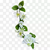 花卉设计切花郁金香花-空若网 花卉设计切花郁金香花-空若网