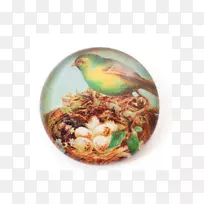 玻璃宝石鸟珠-玻璃-空若网 玻璃宝石鸟珠-玻璃-空若网