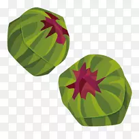 葡萄绿果糖包装及标签-空若网 葡萄绿果糖包装及标签-空若网