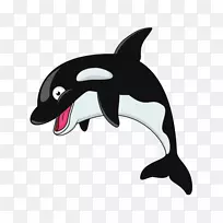 虎鲸剪贴画-空若网 虎鲸剪贴画-空若网