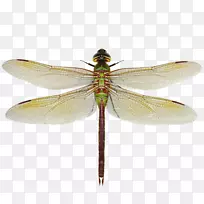 ������ͬ��ʺͷ��������-����-������