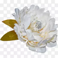 ��װPostScript������-������