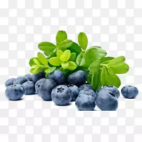 ŷ����ݮӪ��ˮ����ݮ-������