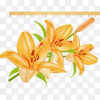 �ٺϲ廨-������