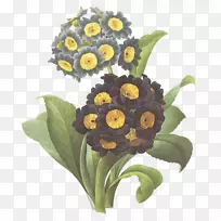 花卉设计切花花束普通向日葵-空若网 花卉设计切花花束普通向日葵-空若网