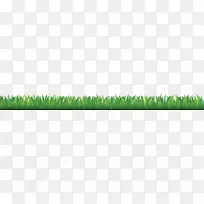 麦草角特写草-空若网 麦草角特写草-空若网