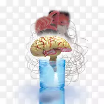 实验室化学实验科学方法脑化学研究实验室玻璃-空若网 实验室化学实验科学方法脑化学研究实验室玻璃-空若网