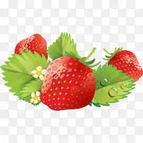 ��ݮ-��ݮ��ʹʳƷ����-��ݮ-������