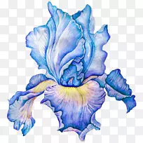 花水彩画剪贴画-花-空若网 花水彩画剪贴画-花-空若网