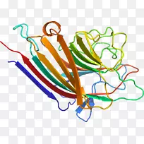 �ߵ�����������-������