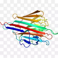 �ߵ������-��-������