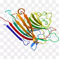 线点生物剪贴画线-空若网 线点生物剪贴画线-空若网