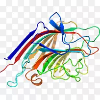 ����������ƽ����Ƽ�������-������