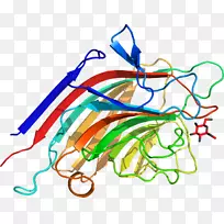 线点生物剪贴画线-空若网 线点生物剪贴画线-空若网