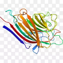 线点生物剪贴画线-空若网 线点生物剪贴画线-空若网