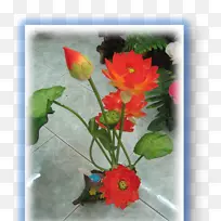 �������-������